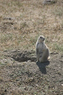 Teddy Roosevelt Park (ND)